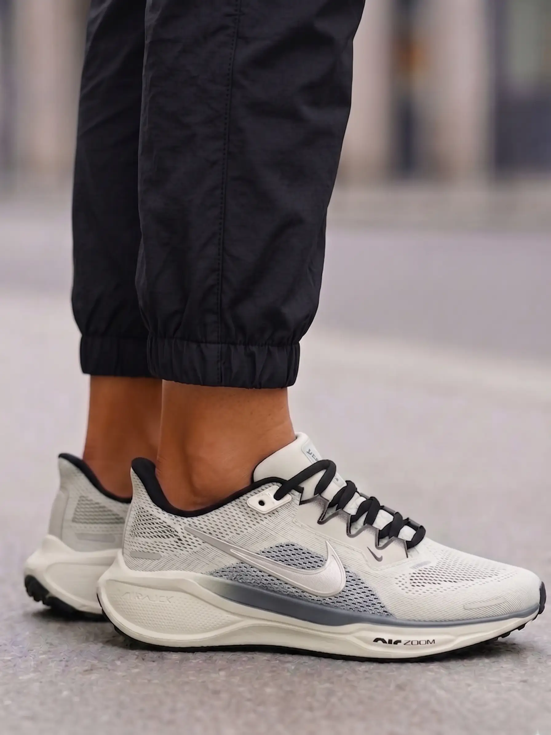 Nike Pegasus Easyon