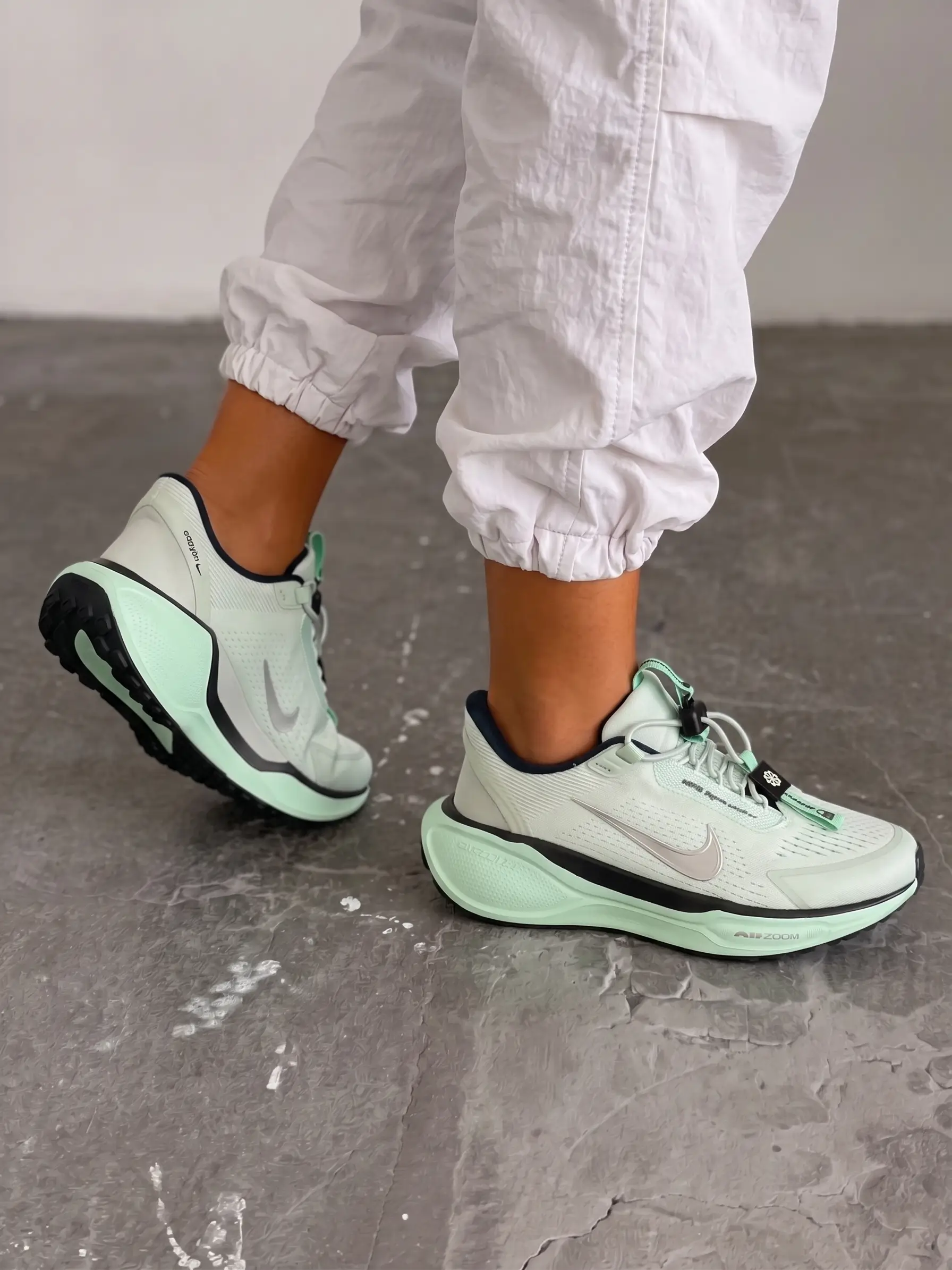 Nike Pegasus Easyon