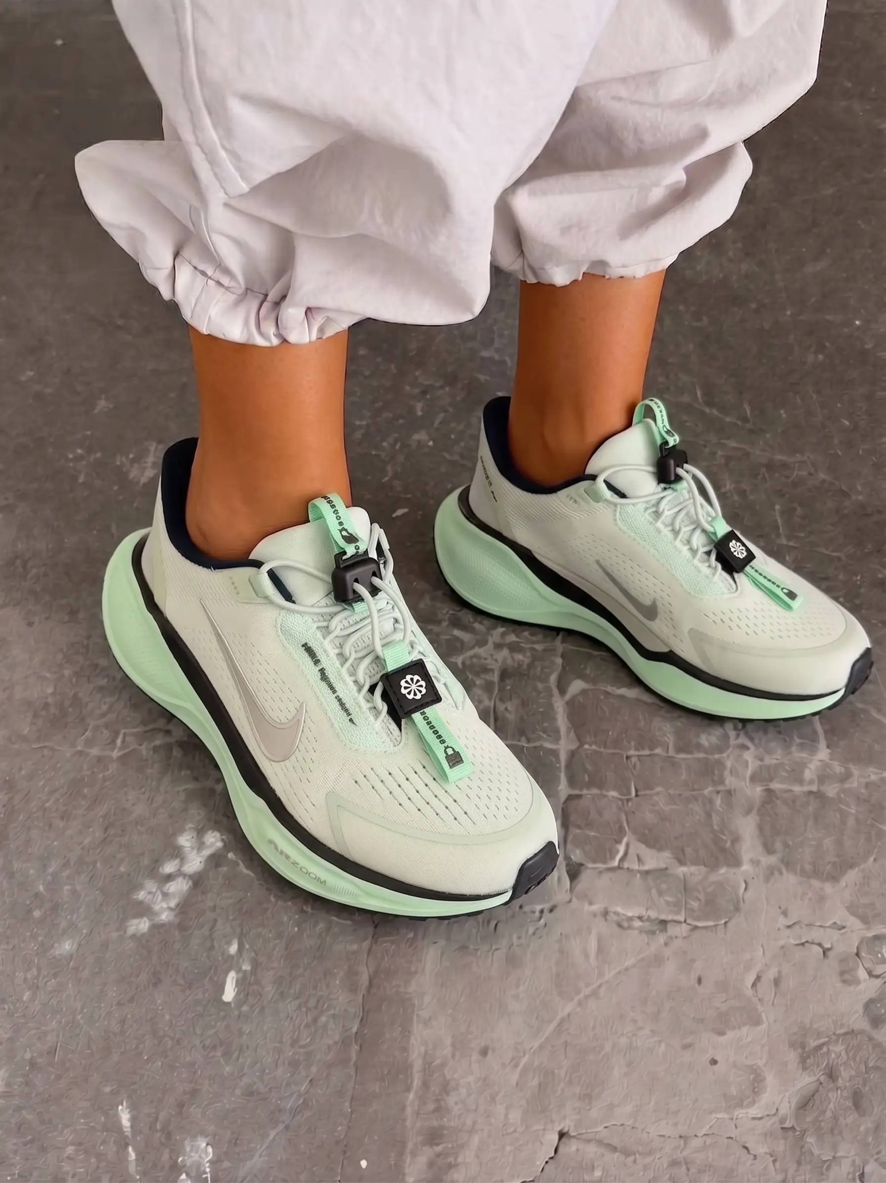 Nike Pegasus Easyon
