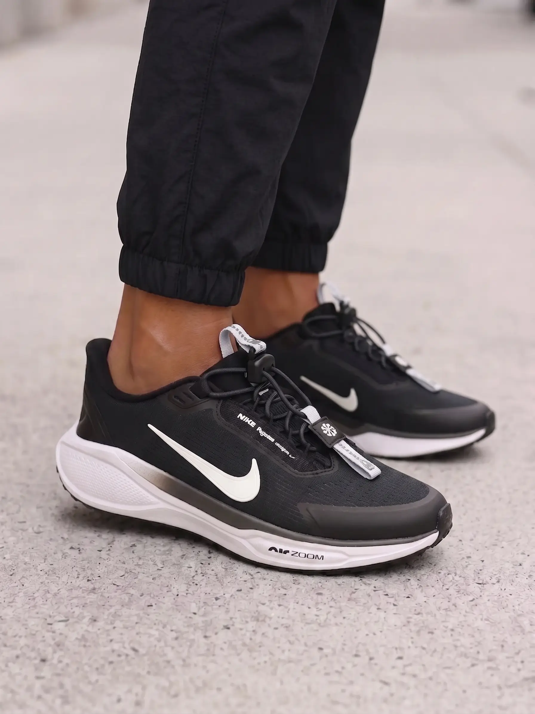 Nike Pegasus Easyon