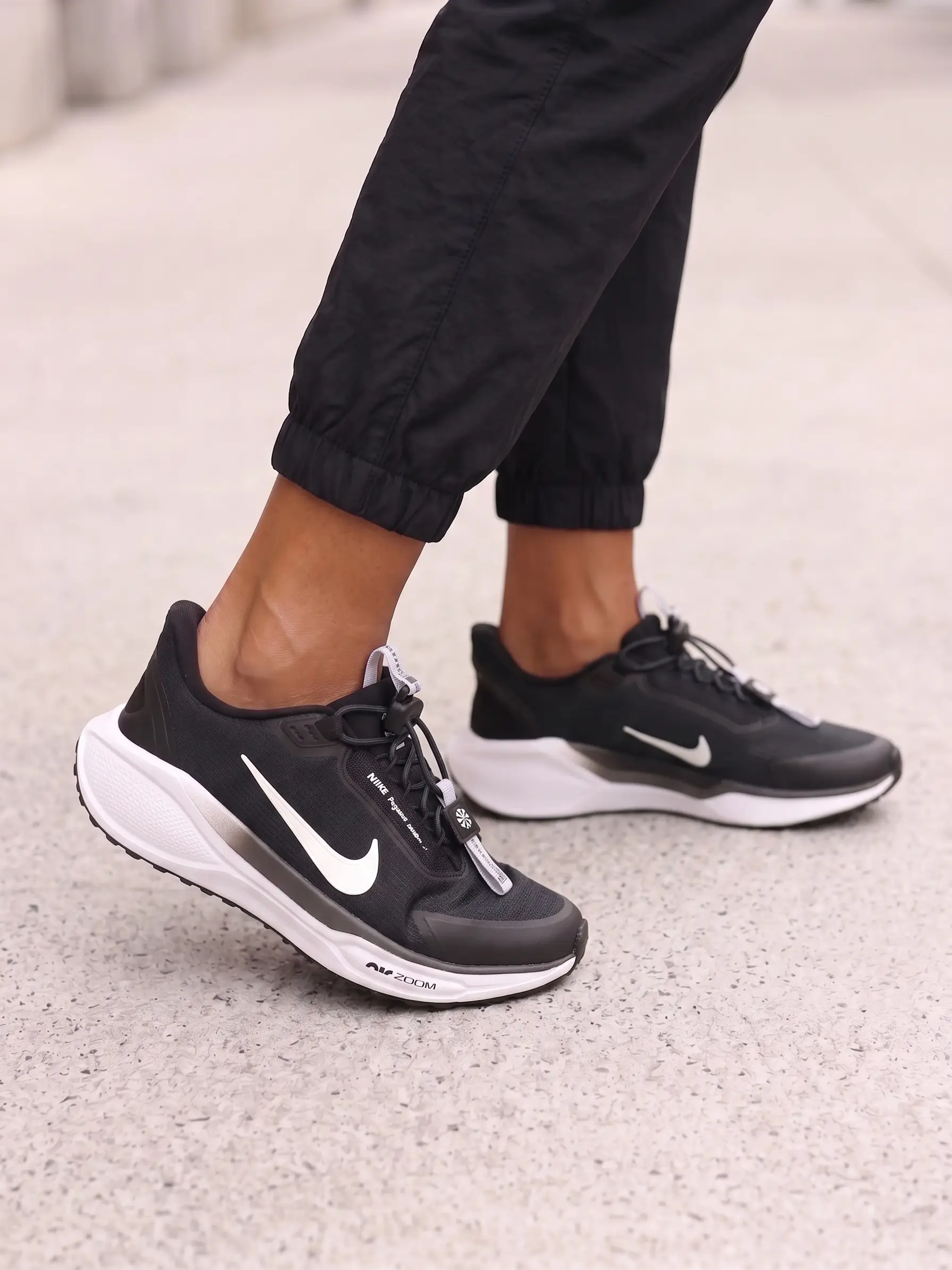 Nike Pegasus Easyon