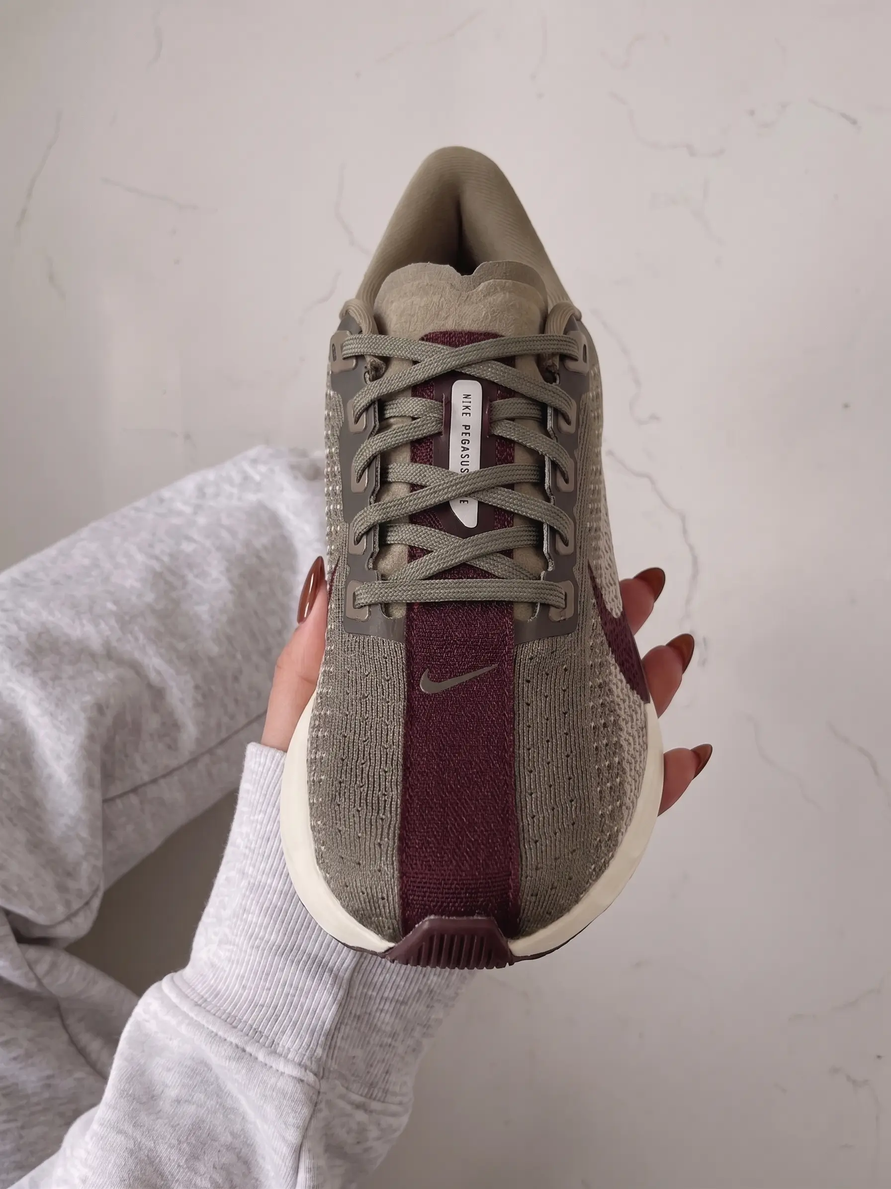 Nike Pegasus Easyon