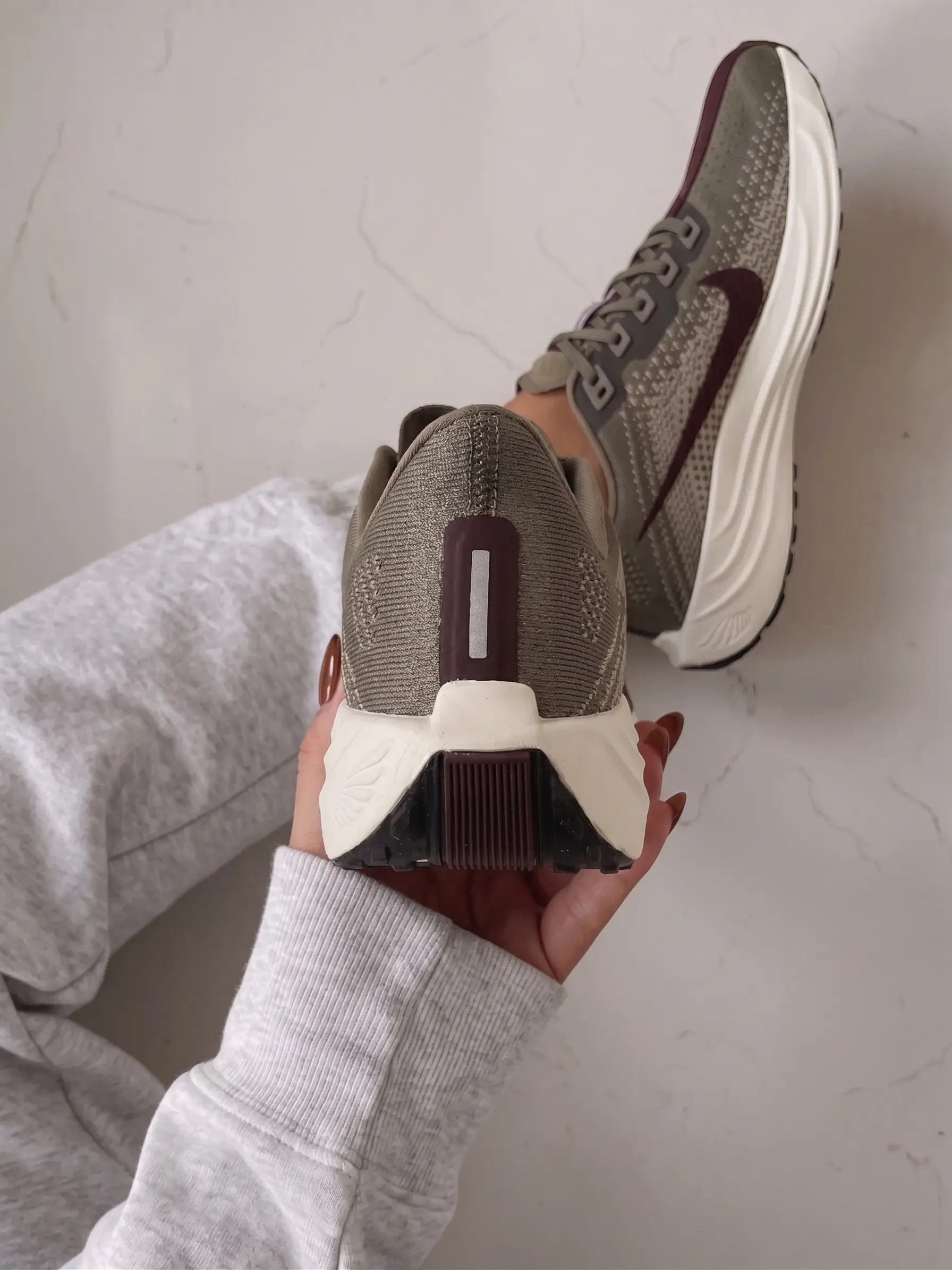 Nike Pegasus Easyon