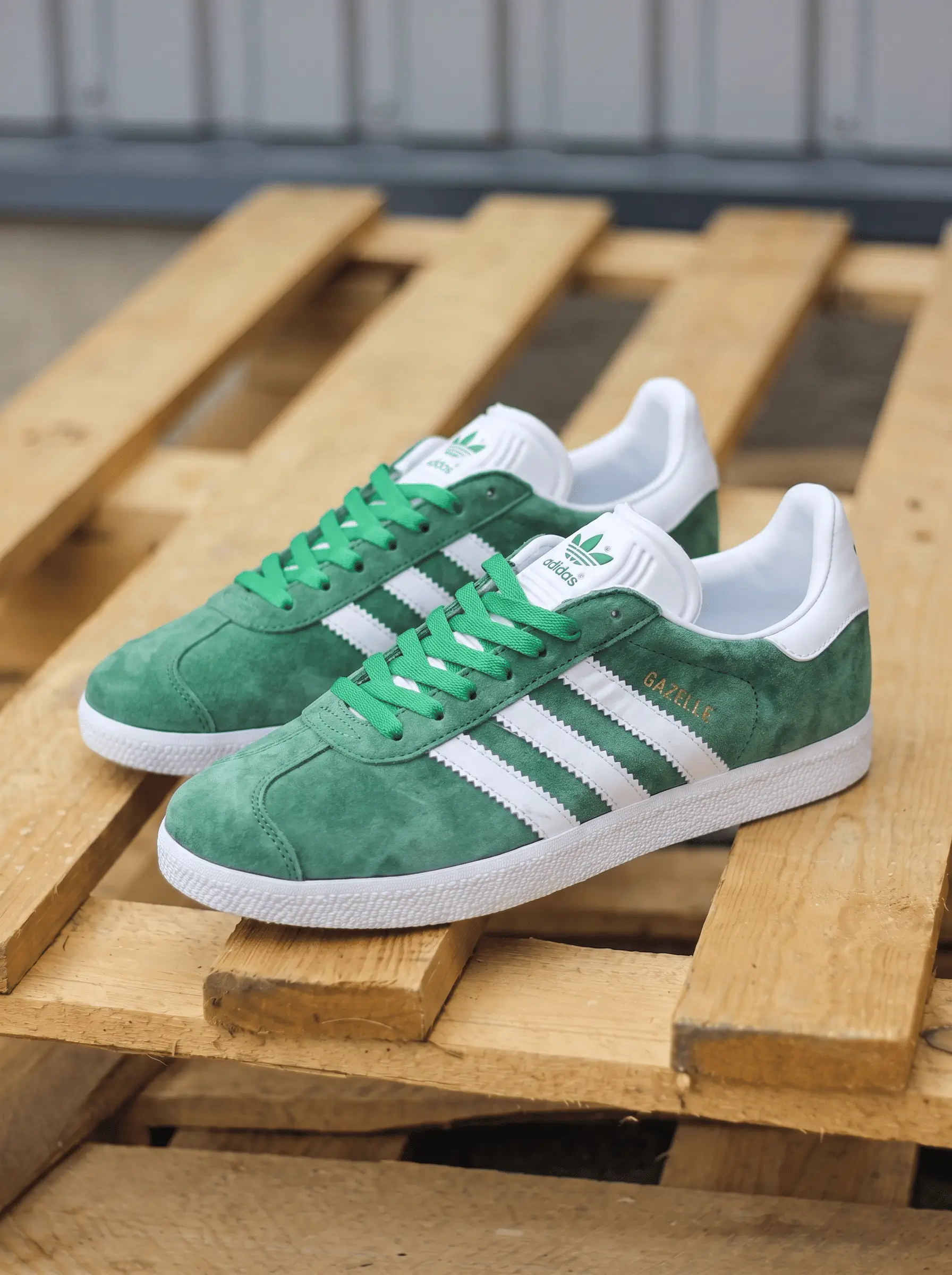 Adidas Gazelle