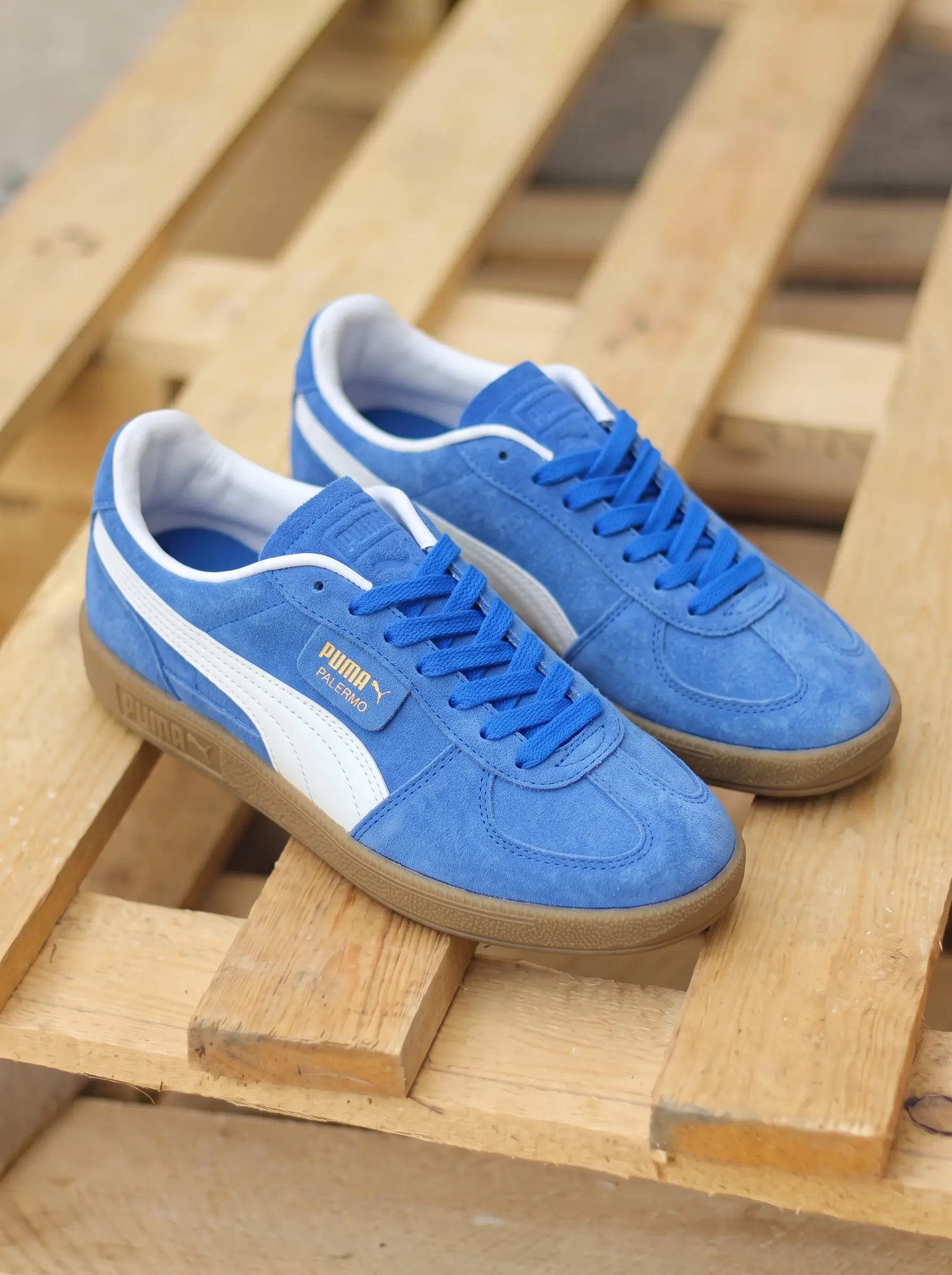Puma Palermo